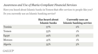 Islamic banking remains unpopular in Egypt: Gallup poll