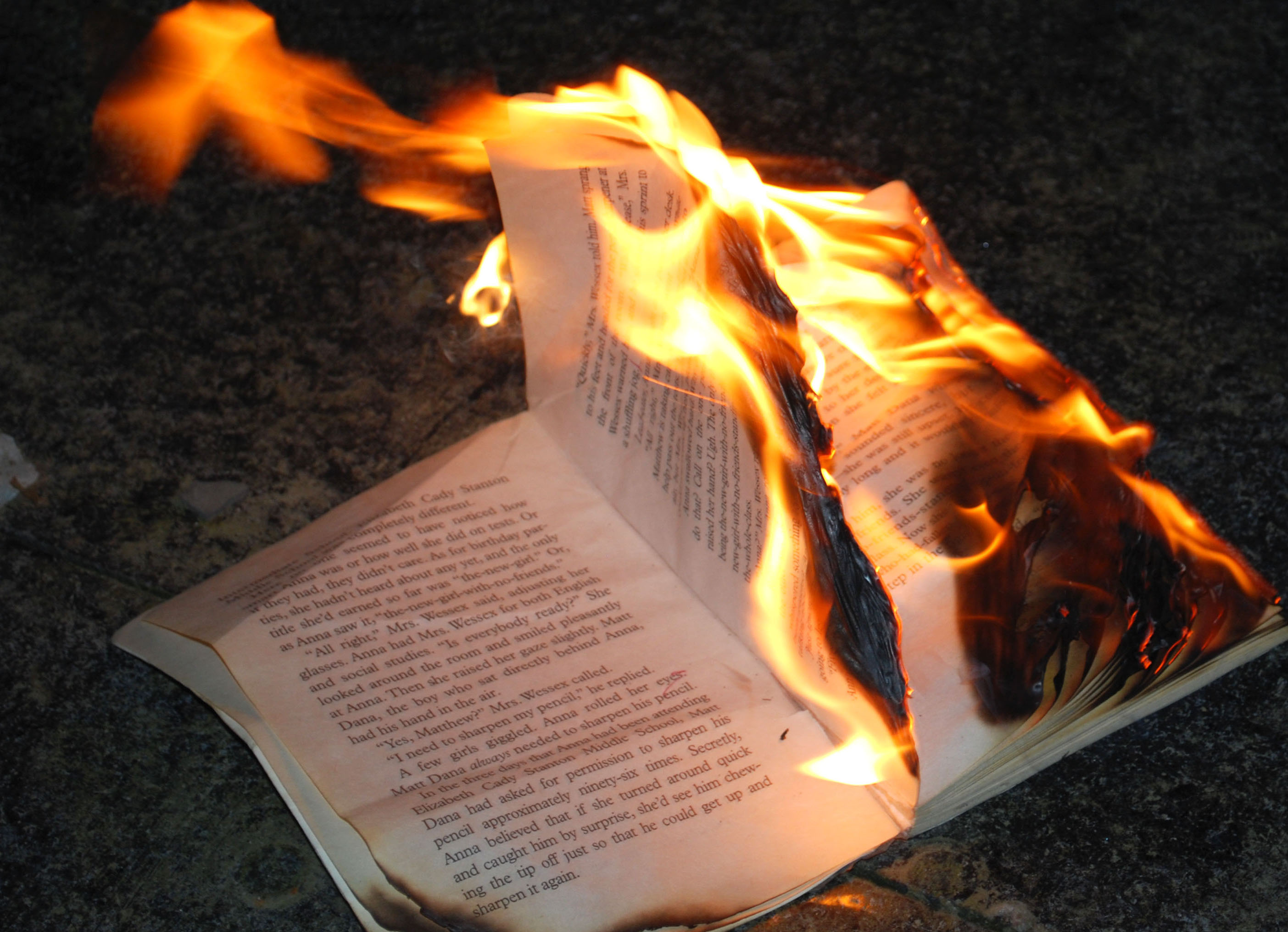 Egypt burns books it says promote violence, Brotherhood ideas