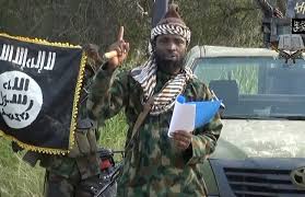 Boko Haram militants torch 50 homes, kill four people in Niger