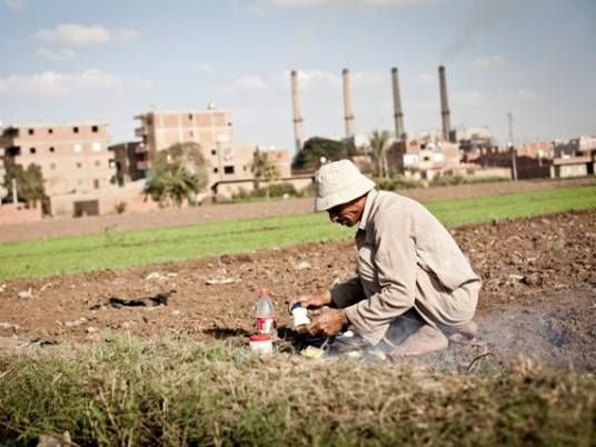 Water shortage ruins crops on 10,000 feddans of Daqahlia farmland