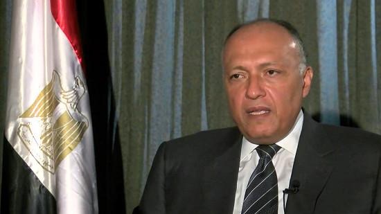Egypt’s FM heads to Washington for anti-IS coalition meeting
