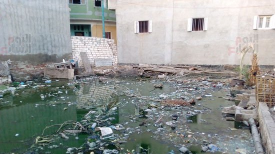 Village in Kafr el Sheikh floods with sewage water