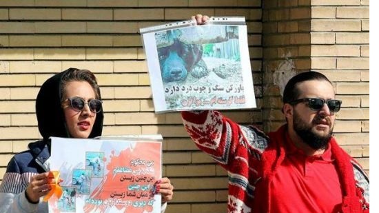 Pressure mounts in Iran for law against animal cruelty after videos cause outrage
