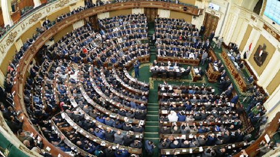 Egyptian MP resigns from ‎parliament's rights body after foreign trip causes row