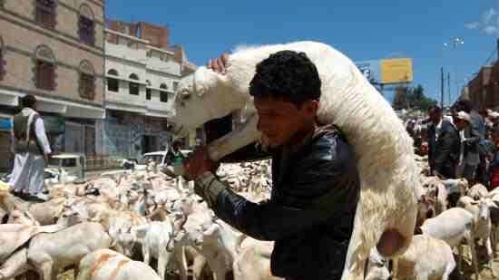 LE50,000 fine for slaughtering animals in Hurghada streets at Eid al-Adha
