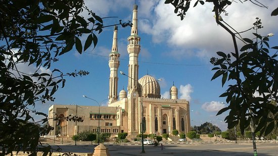For the 34th week, Ministry of Awqaf opens new 10 mosques