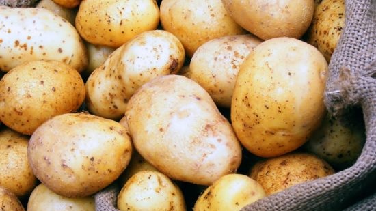 14.6 feddans of Egypt’s potatoes crop ‘free of brown rot’: Ministry