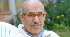 Baradei slams activists' detention 
