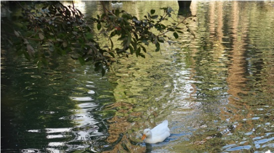 Giza Zoo Grotto Garden

