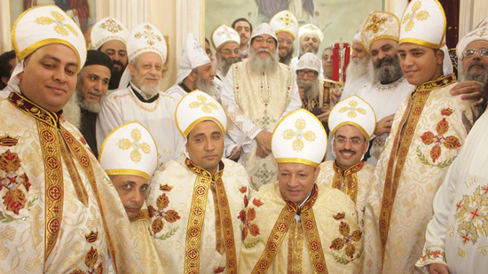 6 new priests ordained in Minya