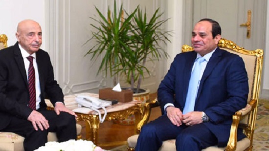 Egypt taking all routes to end Libyan crisis: Foreign Ministry spokesman
