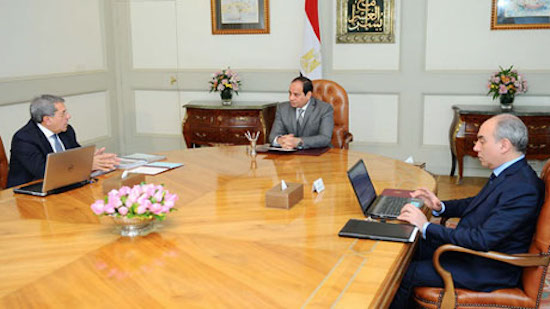 Egypt's Sisi meets finance minister, discusses economic reforms