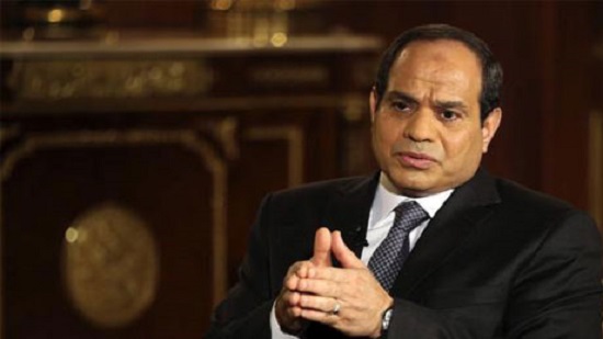Egypt's counterterrorism efforts taking toll on state resources: Sisi