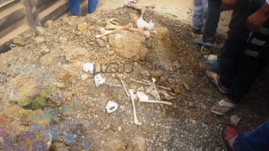 Bulldozers of Ministry of Antiquities demolished the tombs of Coptic  in Assiut