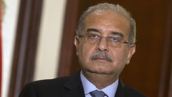Egypt's cabinet reshuffle won't take place before 12 February: PM