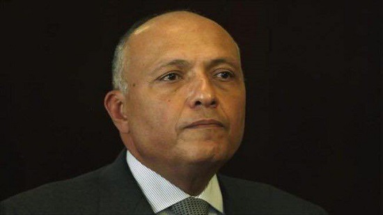 Shoukry heads to UAE to meet with Arab foreign ministers