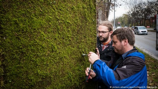 Stuttgart builds moss-covered wall to fight air pollution