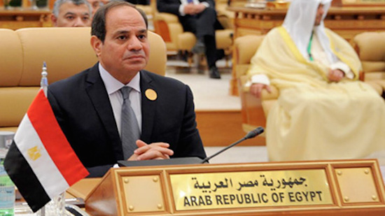 Eradicating terrorism requires ending financial and ideological support for terrorists, Sisi tells Riyadh summit
