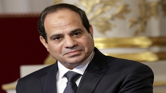 Sisi between referendum and Constitutional Court