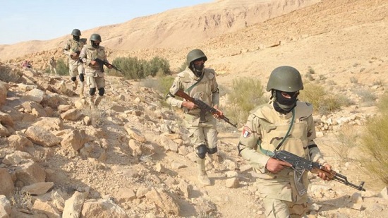41 suspects arrested in North Sinai