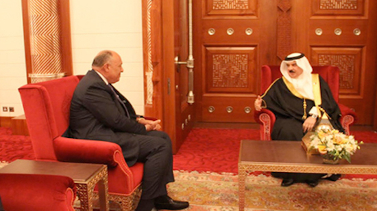 Egypts Shoukry discusses regional developments with king of Bahrain