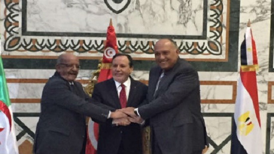 Egypt, Tunisia, Algeria reiterate Skhirat agreement is essential to solving Libyas crisis