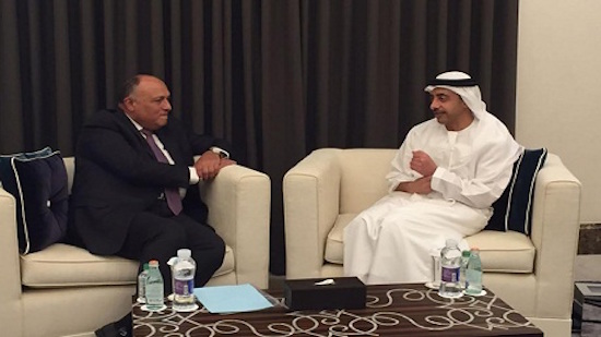 Egypts FM Shoukry discusses regional, bilateral issues with UAE counterpart in Abu Dhabi
