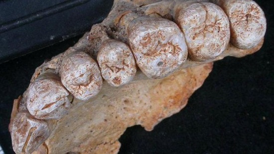 Remains of oldest human outside Africa discovered
