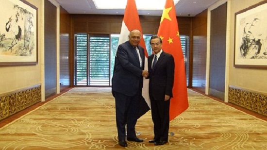 Egypt FM praises Chinas participation in development projects at meeting with Chinese counterpart
