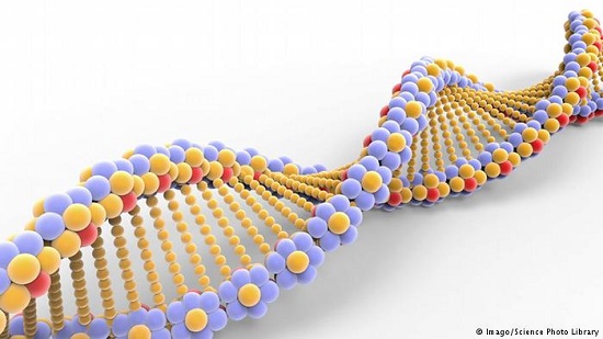 CRISPR-Cas9 gene editing causes lots of mutations