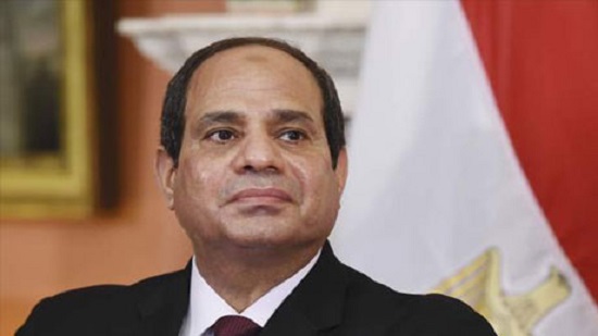 Egypts Sisi ratifies new cyber-crime law