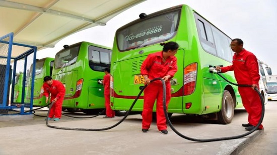 First batch of Chinese electric buses to reach Egypt ‘mid-September’