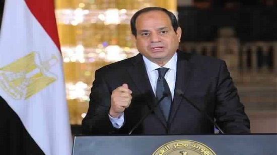 No role for the Muslim Brotherhood as long as I am in power: President Sisi