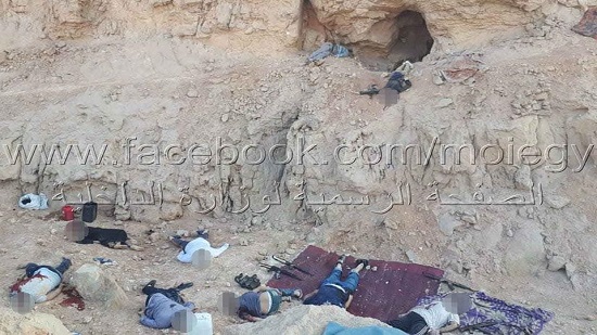 Police kill 9 terrorists in clashes in Upper Egypt desert area: Interior Min.