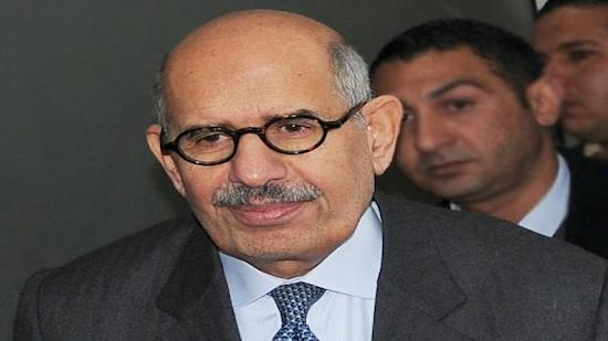 Proposed Egyptian constitutional amendments are “null”: Mohamed ELBaradei