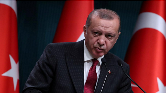 Minister Sameh Shoukry rebukes Turkish President Erdogan’s harsh criticism of Sisi