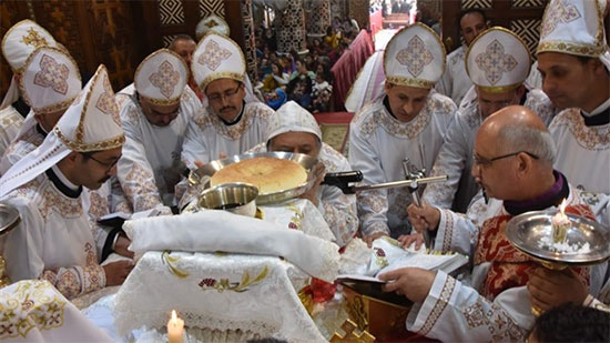 8 new priests ordained in Mallawy