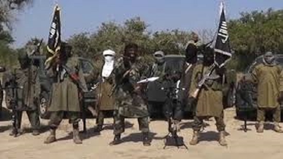 Boko Haram attacks in eastern Niger leave 10 dead: Mayor