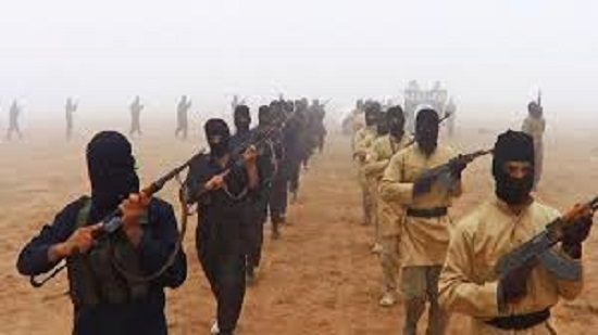 Islamic State West Africa claims killing and execution of 29 Nigerian soldiers