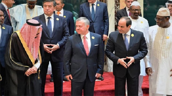 Egypts Sisi calls on Islamic states to work together against terrorism