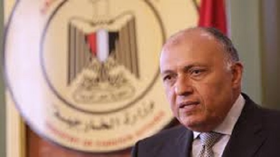 Egypt, Russia in agreement on Palestinian issue: Egypts FM Shoukry
