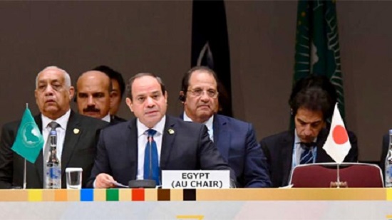Egypts Sisi calls for promoting private-public cooperation in Africa
