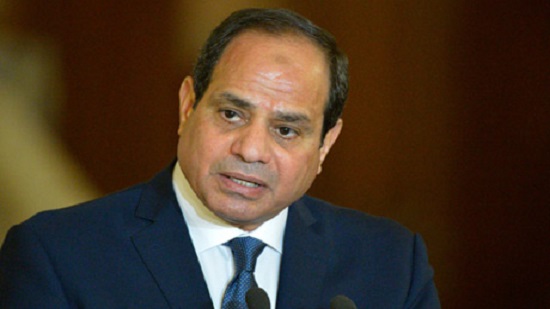 Egypts Sisi approves law regulating medical profession
