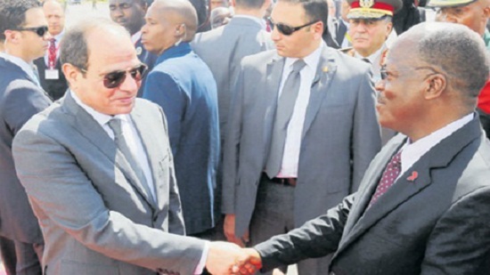 Egypt, Tanzania mull preparations for 2020 joint committee meetings
