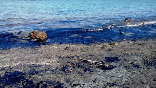 Egypt s environmental agency files complaint due to Red Sea crude oil pollution
