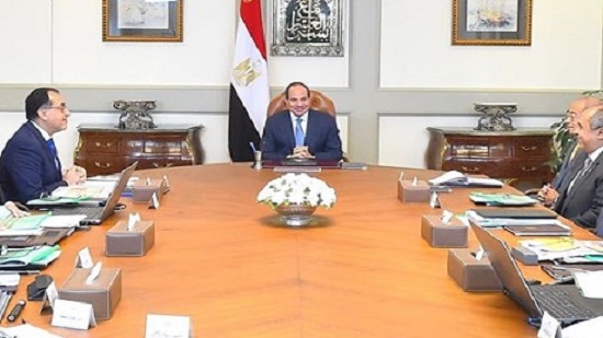 Egypts Sisi directs govt to continue efforts to develop Sinai
