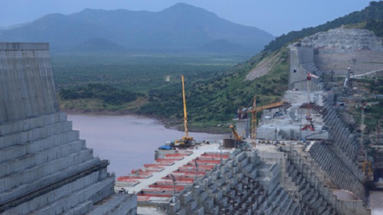 Egypt, Ethiopia, Sudan to reconvene in Washington on 13 Jan to resolve Nile dam dispute: Joint statement