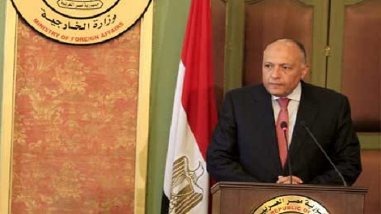 Egypts FM Shoukry embarks on Arab tour
