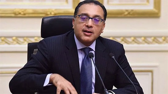 Egyptian government holds its first video conference meeting