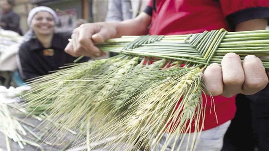 Coptic Christians in Egypt celebrate Holy Week through traditions
